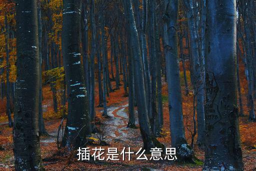 插花是什么意思