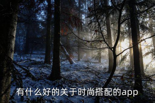 有什么好的关于时尚搭配的app