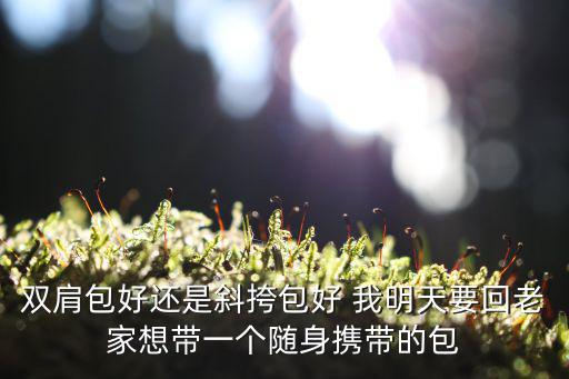 双肩包好还是斜挎包好 我明天要回老家想带一个随身携带的包