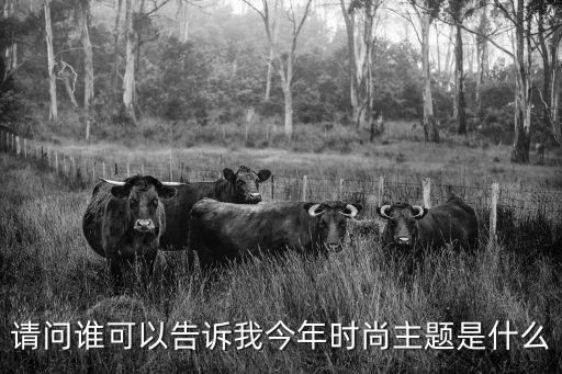 科技时尚的主题名称是哪个，最新科技产品时尚是什么