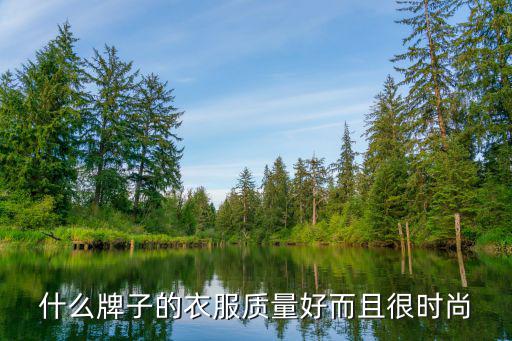 什么牌子的衣服质量好而且很时尚
