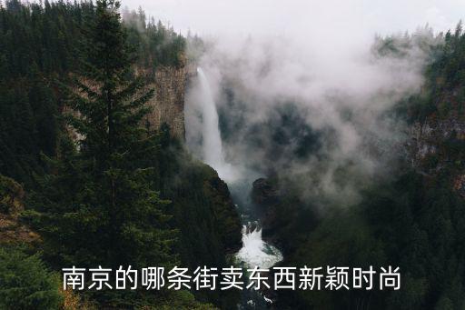 南京的哪条街卖东西新颖时尚