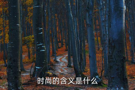 领先时尚意思解释是什么，时尚是什么意思