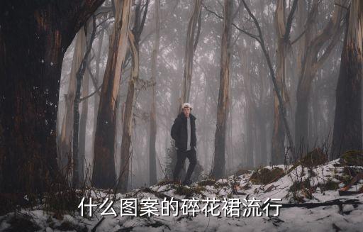 什么图案的碎花裙流行