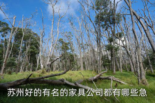 苏州时尚办公家具厂有哪些，苏州办公家具有哪些还不错