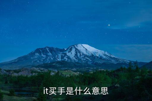 it买手是什么意思