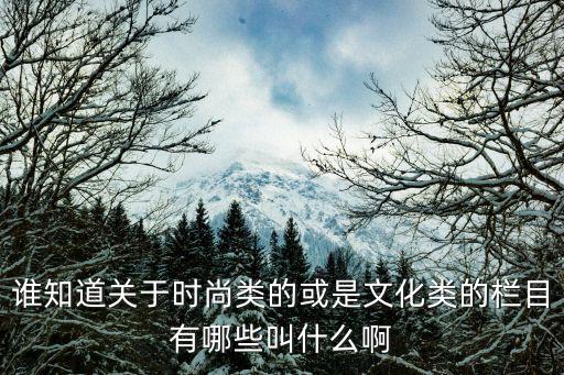 谁知道关于时尚类的或是文化类的栏目有哪些叫什么啊