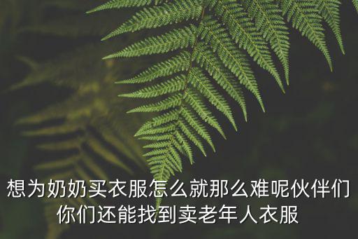 老太外衣有什么时尚衣，有谁知道哪里有卖80多岁老太太穿的衣服的