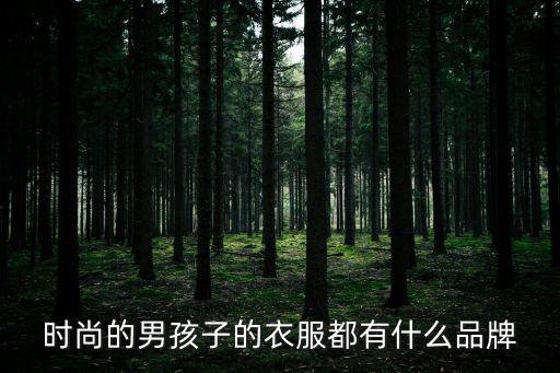 时尚的男孩子的衣服都有什么品牌