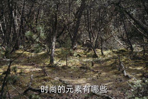 时尚的元素有哪些