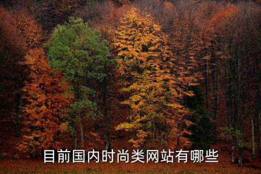 目前国内时尚类网站有哪些