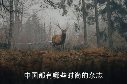 中国都有哪些时尚的杂志