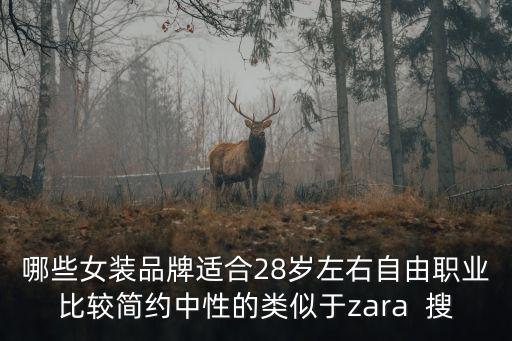 哪些女装品牌适合28岁左右自由职业比较简约中性的类似于zara 搜