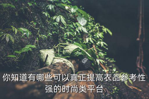 你知道有哪些可以真正提高衣品参考性强的时尚类平台