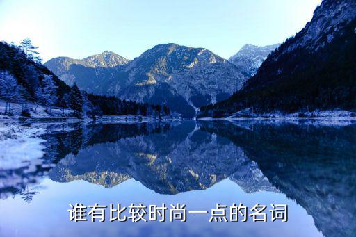谁有比较时尚一点的名词