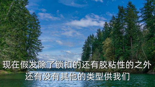 现在假发除了锁扣的还有胶粘性的之外还有没有其他的类型供我们