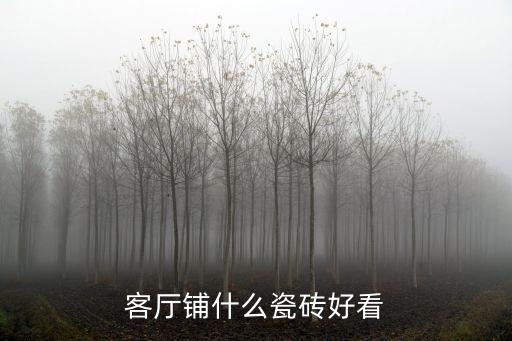 客厅铺什么瓷砖好看
