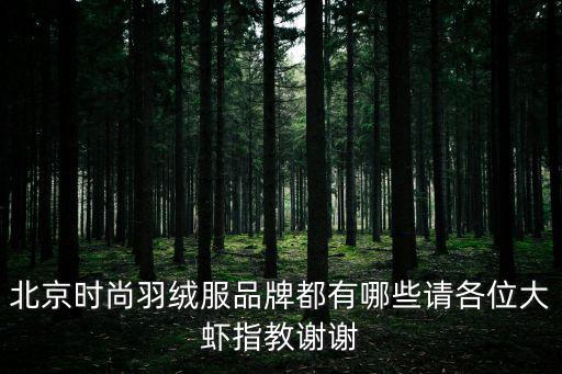 北京时尚羽绒服品牌都有哪些请各位大虾指教谢谢