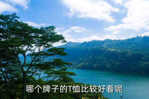 哪个牌子的T恤比较好看呢