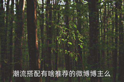潮流搭配有啥推荐的微博博主么