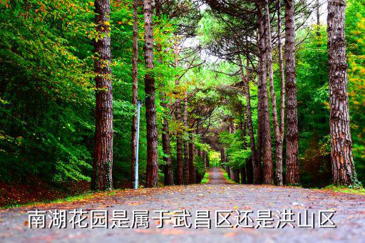 南湖花园是属于武昌区还是洪山区