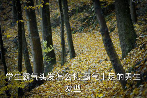 扎什么头发简单时尚男生，男生长发头除了马尾还可以怎么扎