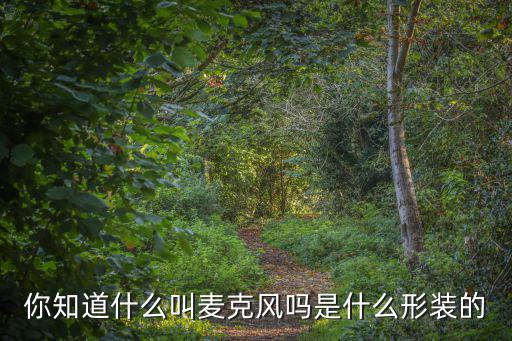 你知道什么叫麦克风吗是什么形装的