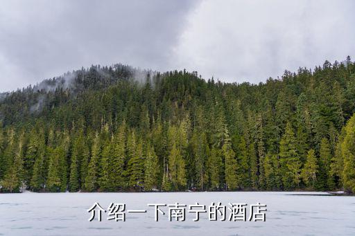 介绍一下南宁的酒店