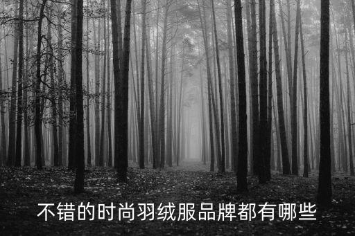 不错的时尚羽绒服品牌都有哪些