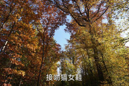 接吻猫女鞋