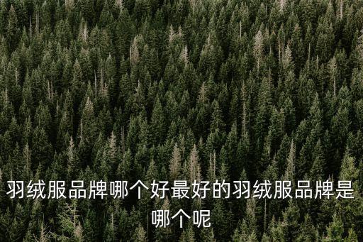 羽绒服品牌哪个好最好的羽绒服品牌是哪个呢