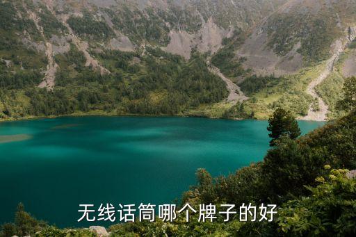 无线话筒哪个牌子的好