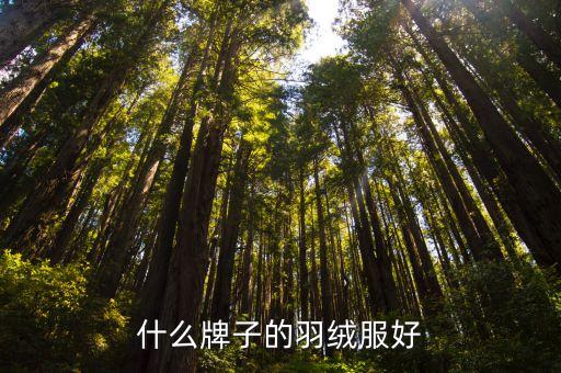 什么牌子的羽绒服好