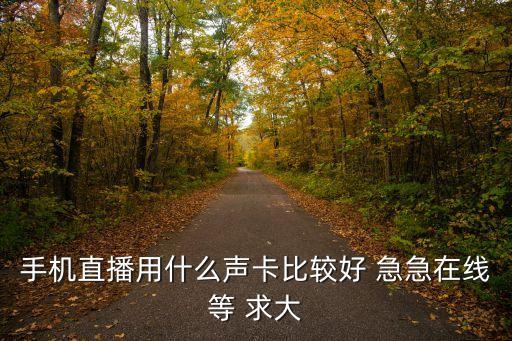 手机直播用什么声卡比较好 急急在线等 求大