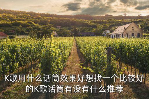 K歌用什么话筒效果好想找一个比较好的K歌话筒有没有什么推荐