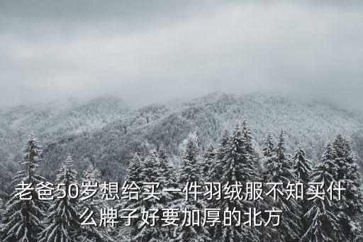 老爸50岁想给买一件羽绒服不知买什么牌子好要加厚的北方