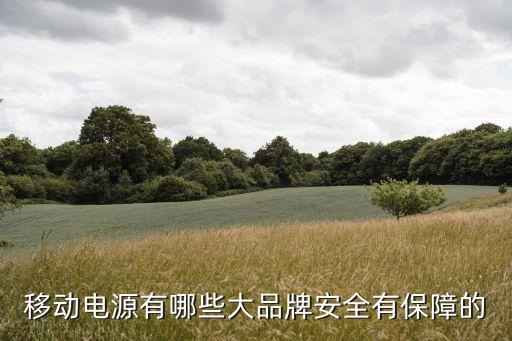 移动电源有哪些大品牌安全有保障的