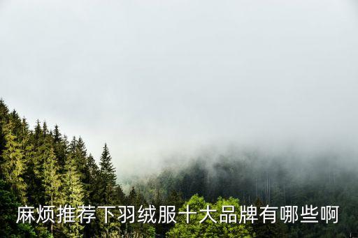 麻烦推荐下羽绒服十大品牌有哪些啊