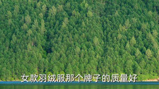 羽绒服哪个牌子的好看又质量好女，女款羽绒服那个牌子的质量好