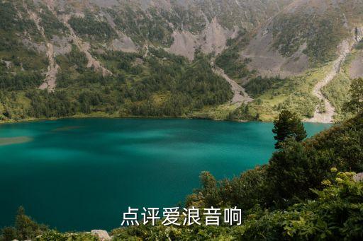 点评爱浪音响