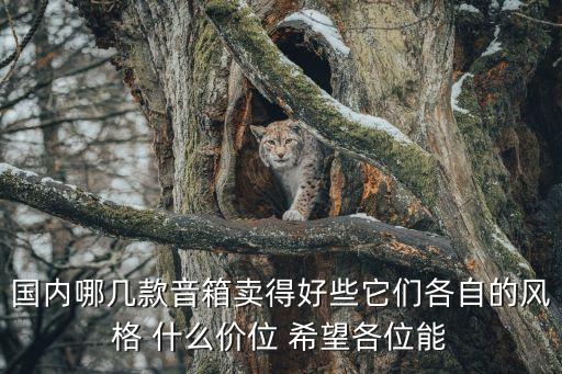 国内哪几款音箱卖得好些它们各自的风格 什么价位 希望各位能