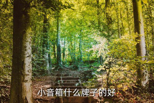 小音箱什么牌子音质最好，什么牌子的小音响好