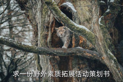 求一份野外素质拓展活动策划书