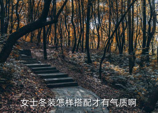 女士冬装衣服，女士冬装怎样搭配才有气质啊