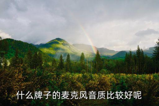 什么牌子的麦克风音质比较好呢