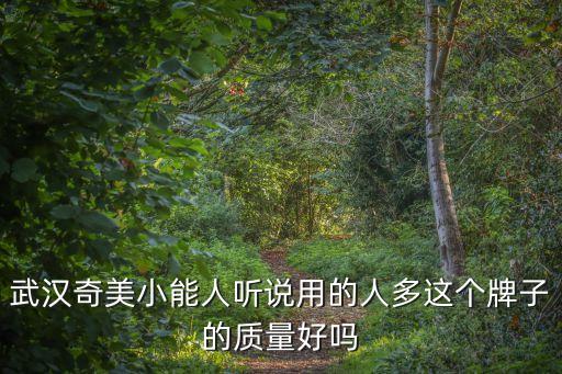 武汉奇美小能人听说用的人多这个牌子的质量好吗