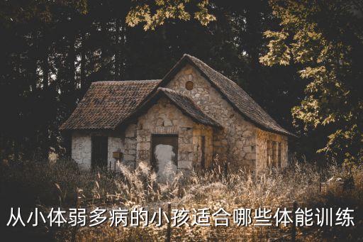 从小体弱多病的小孩适合哪些体能训练