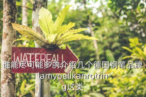 谁能尽可能多的介绍几个德国钢笔品牌lamypelikanrotring这类