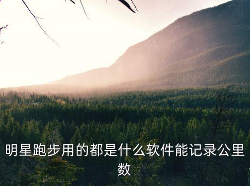 跑步计时和公里数的软件，有什么APP是记录那种跑步时间 步数 路程多少的