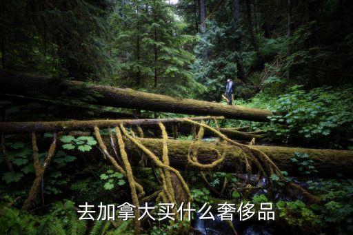 去加拿大买什么奢侈品